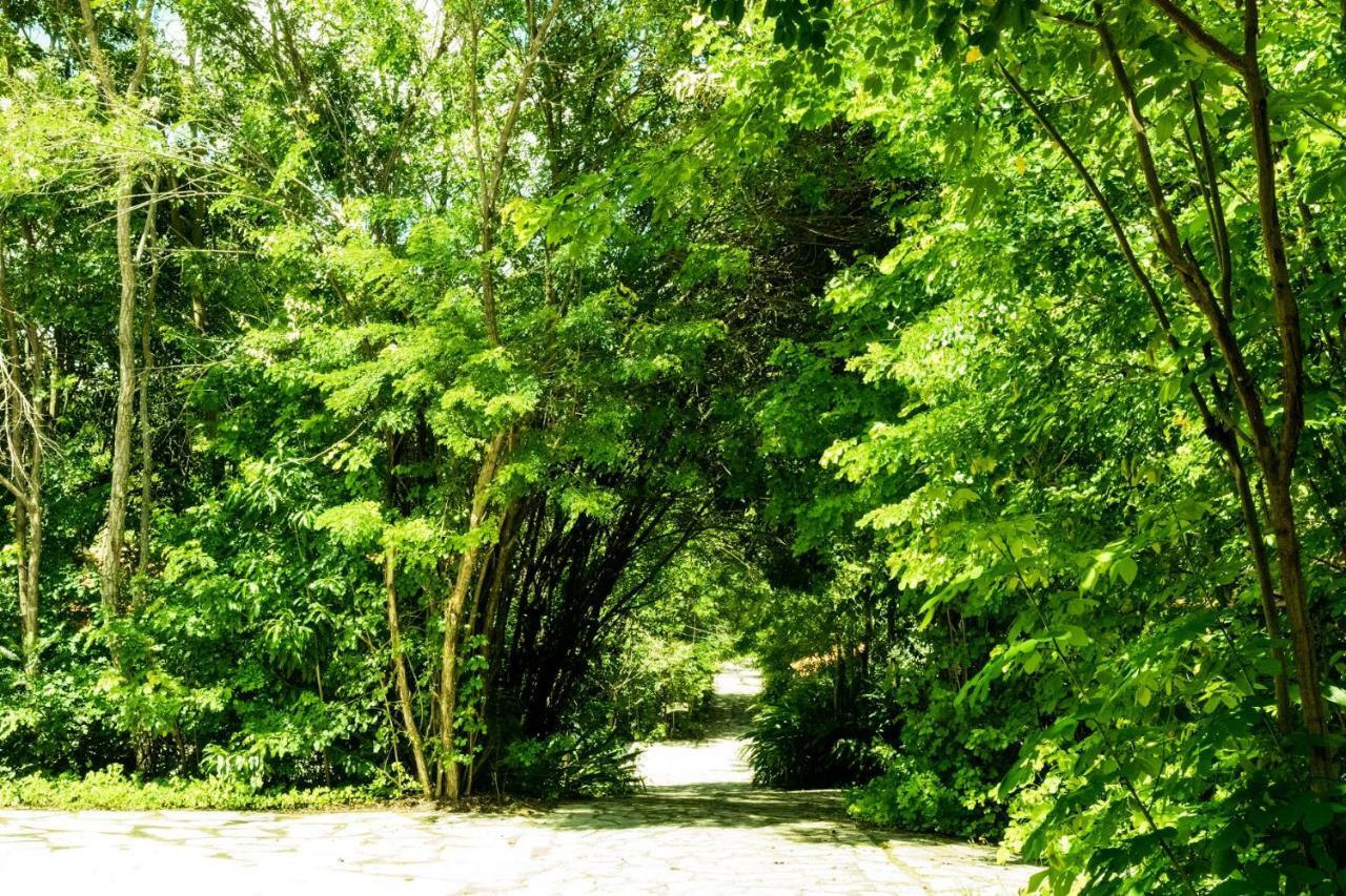 Pousada Villa Das Pedras Pirenópolis المظهر الخارجي الصورة